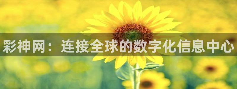 彩神网：连接全球的数字化信息中心