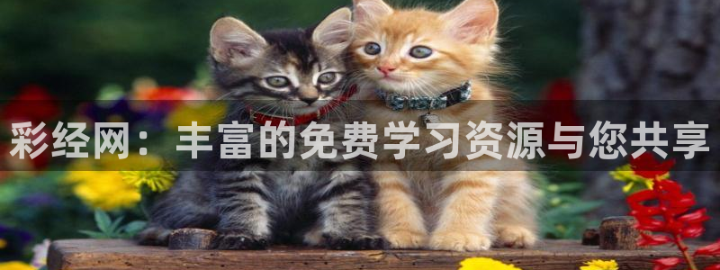 彩神vk
