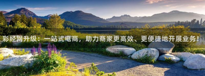 彩神登陆