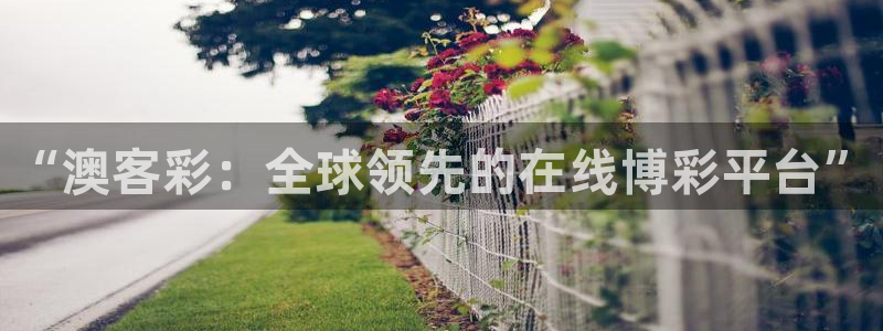 彩神现在优惠多少：“澳客彩：全球领先的在线博彩平台”