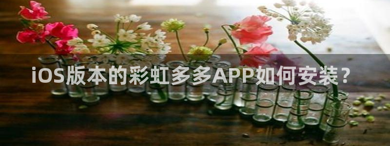 彩神体育平台总代理：iOS版本的彩虹多多APP如何安装？