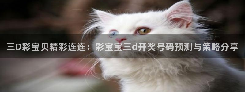 彩神官网：三D彩宝贝精彩连连：彩宝宝三d开奖号码预测与策略分享